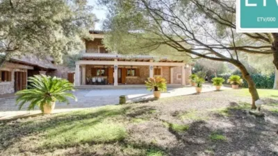 Chalet in Algaida photo 14