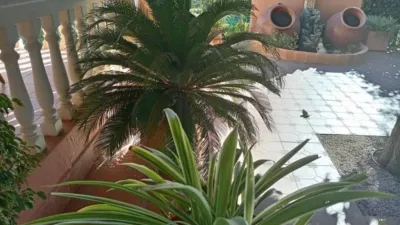 Chalet in Murcia City photo 5