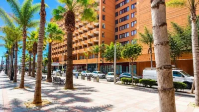 Apartment in Puerto Deportivo photo 15