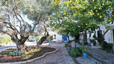 Rustic property in Martín de La Jara photo 9