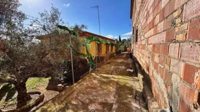 Chalet in Casariche photo 15