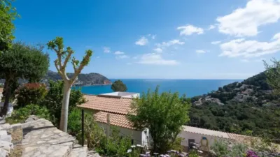 Chalet in Capdepera photo 3