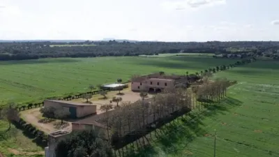 Chalet in Alaró photo 6