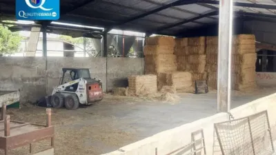 Chalet en Crevillent photo 35