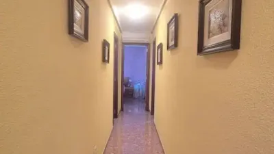Apartment on Alcalde Felipe Mallol photo 7