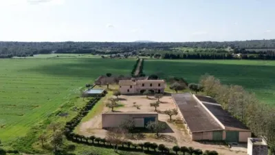 Chalet in Alaró photo 8