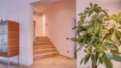 Chalet in Alaró photo 35
