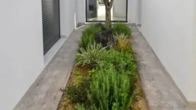 Chalet in Murcia Capital photo 12