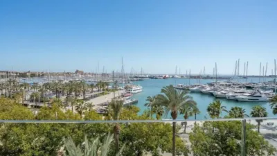 Apartment in Platja d'Alcúdia-Port d'Alcúdia photo 18