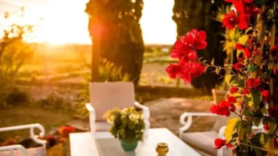 Chalet in Felanitx photo 20