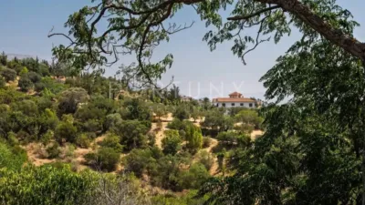 Rustic House in Ardales photo 61