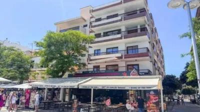 Apartment in Pollença photo 3