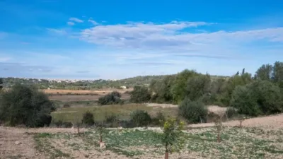 Chalet in Sineu photo 29