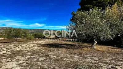 Rustic house in Ibi photo 51