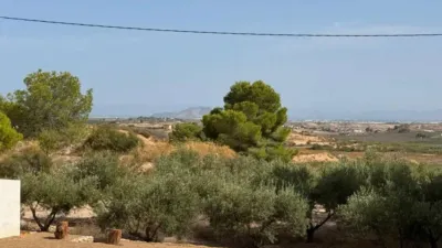 Rustic house in Murcia Capital photo 4