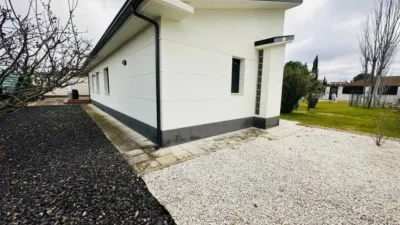 Chalet in Mojados photo 50