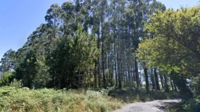 Terreno en venta en Calle Camino de Polina, 19 - Vista 3