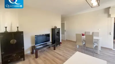 Pis - Vista 2