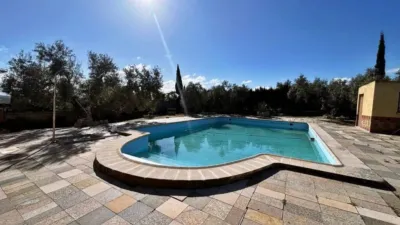 Chalet in Casariche photo 54