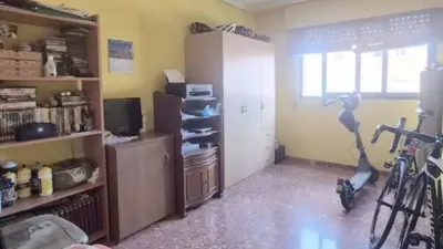 Apartment on Alcalde Felipe Mallol photo 13