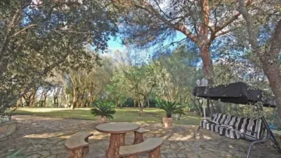 Chalet in Algaida photo 8