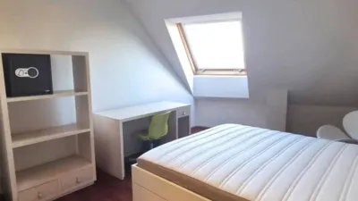 Apartment in Alto del Castaño photo 20
