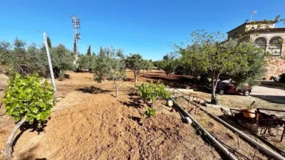 Chalet in Casariche photo 53