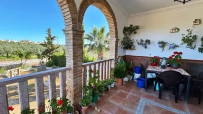 Chalet in Casariche photo 17