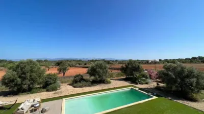 Chalet in Algaida photo 23
