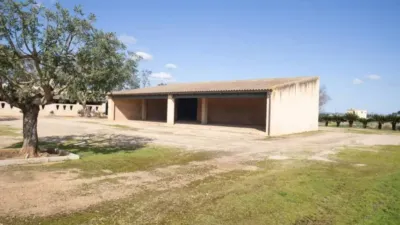 Chalet in Alaró photo 26