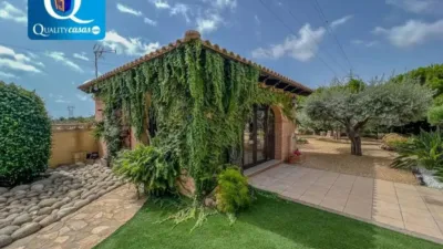 Chalet in Sant Vicent del Raspeig - San Vicente del Raspeig photo 57