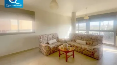 Apartment in Santa Pola photo 2