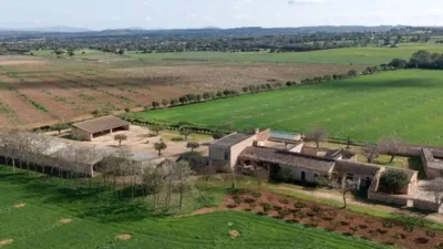 Chalet in Alaró photo 59