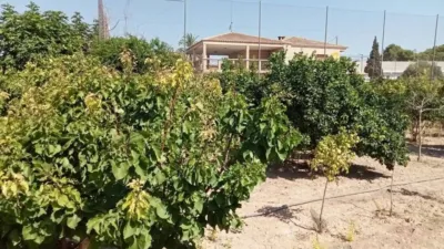 Chalet in Murcia Capital photo 40