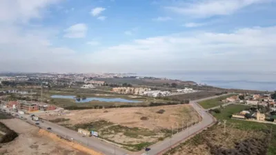 Apartment in Los Alcázares photo 45