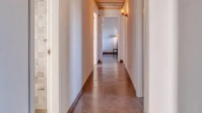 Chalet in Sineu photo 15