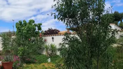 Chalet in Castalla photo 14