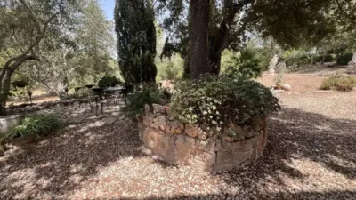 Chalet on Algaida Street - La Unio Street photo 15