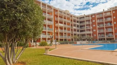 Apartment in Platja d'Alcúdia-Port d'Alcudia photo 3