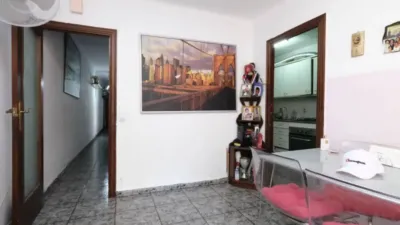 Apartment in La Prosperitat photo 12