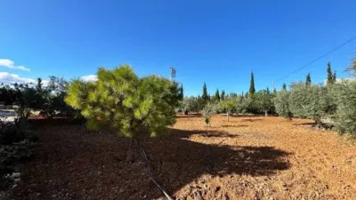 Chalet in Casariche photo 3
