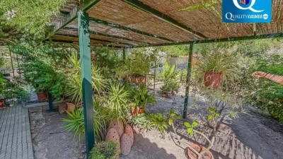 Chalet en Agost photo 8