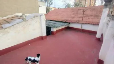 Chalet in Murcia Capital photo 19