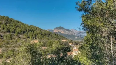 Chalet in Alaró photo 59