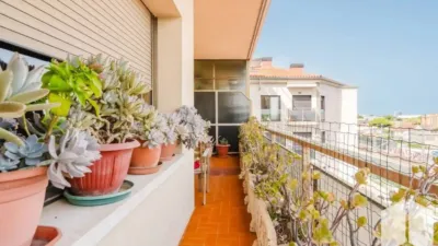 Apartment in Castelldefels photo 12