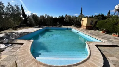 Chalet in Casariche photo 59