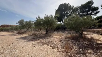 Rustic house in Murcia Capital photo 17