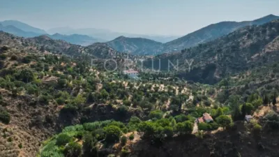 Rustic House in Ardales photo 77