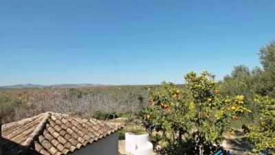 Rustic property in Martín de La Jara photo 46