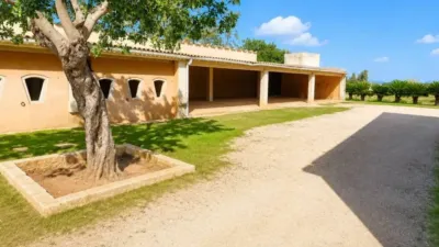 Chalet in Alaró photo 17